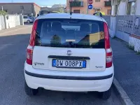 Usata Fiat Panda Dynamic 77 CV (56 kW) 2009 Bianco Utilitaria