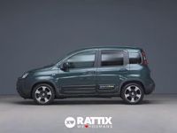 Usata Fiat Panda Cross Cross 69 CV (50 kW) 2025 Verde Utilitaria