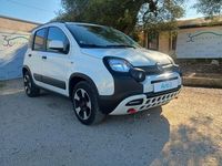 Usata Fiat Panda Cross Cross 71 CV (52 kW) 2024 Bianco Utilitaria