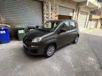 Usata Fiat Panda 69 CV (50 kW) 2018 Utilitaria