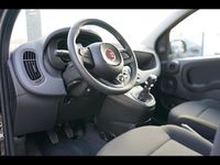 Usata Fiat Panda S 70 CV (51 kW) 2024 Nero Utilitaria