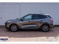 Begagnad Ford Kuga ST-Line 150 HK (110 kW) 2023 Grå SUV