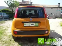 Usata Fiat Panda Easy 69 CV (50 kW) 2019 Arancione Utilitaria