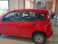 Usata Fiat Panda Easy 69 CV (50 kW) 2020 Rosso Berlina