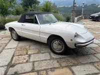 Usata Alfa Romeo Spider 1960 Bianco