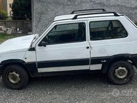 Usata Fiat Panda 4x4 54 CV (39 kW) 2002 Bianco Utilitaria