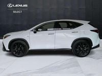 Usata Lexus NX350h Sport Line 243 CV (178 kW) 2024 Bianco SUV