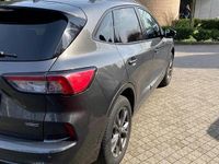 Usata Ford Kuga 225 CV (165 kW) 2023 Grigio SUV