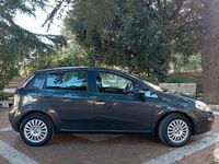 Usata Fiat Punto Evo 75 CV (55 kW) 2012 Grigio Utilitaria