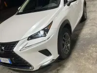 Usata Lexus NX300h 211 CV (155 kW) 2019 SUV