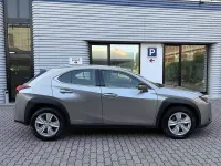 Usata Lexus UX 250h Business Edition 152 CV (111 kW) 2022 Grigio / metallizzato SUV