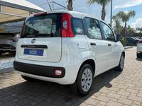 Usata Fiat Panda Lounge 69 CV (50 kW) 2012 Bianco Utilitaria