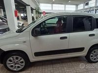 Usado Fiat Panda 4x4 Pop 86 CV (63 kW) 2020 Blanco Utilitario