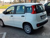 Usata Fiat Panda Easy 69 CV (50 kW) 2020 Bianco Utilitaria