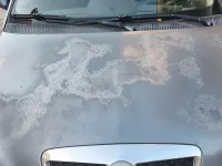 Usata Lancia Ypsilon 2007 Grigio Utilitaria