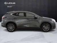 Usata Lexus NX450h+ 185 CV (136 kW) 2023 Grigio SUV