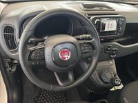 Nuova Fiat Panda Icon 70 CV (51 kW) 2025 Bianco Utilitaria