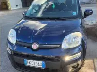 Usata Fiat Panda Lounge 69 CV (50 kW) 2017 Utilitaria