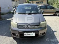 Usata Fiat Panda 4x4 Climbing 75 CV (55 kW) 2011 Grigio Utilitaria