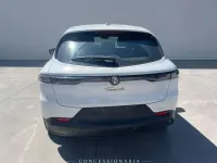 Usata Alfa Romeo Tonale Sprint 131 CV (96 kW) 2023 Bianco alfa SUV