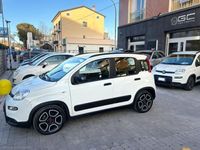 usata Fiat Panda Panda 1.01.0 FireFly S&S Hybrid City Life