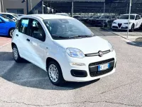 Nuova Fiat Panda Icon 69 CV (50 kW) 2026 Bianco Utilitaria