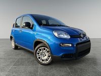 Usata Fiat Panda S 69 CV (50 kW) 2024 Blu Utilitaria