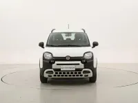 Usado Fiat Panda Cross Cross 69 CV (50 kW) 2020 Blanco Utilitario