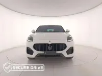 Usata Maserati Grecale 330 CV (242 kW) 2023 Bianco SUV