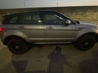 Usata Land Rover Range Rover evoque 190 CV (139 kW) 2014 SUV