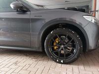 Usata Alfa Romeo Stelvio Executive 209 CV (153 kW) 2020 SUV