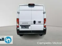 Usata Fiat Ducato 140 CV (102 kW) 2024 Bianco Furgone