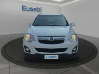 Usata Opel Antara Cosmo 163 CV (119 kW) 2015 Bianco SUV
