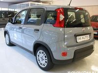 Usata Fiat Panda Easy 69 CV (50 kW) 2023 Bianco Utilitaria