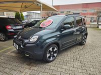 Usata Fiat Panda Cross 69 CV (50 kW) 2025 Metallizzato  verde Utilitaria