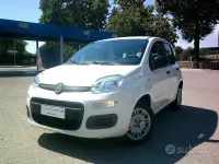 Usata Fiat Panda Easy 69 CV (50 kW) 2020 Bianco Utilitaria