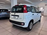 Usata Fiat Panda S 70 CV (51 kW) 2025 Bianco Utilitaria