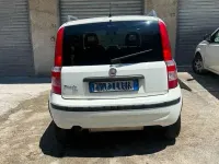 Usata Fiat Panda 4x4 Climbing 69 CV (50 kW) 2010 Bianco Utilitaria
