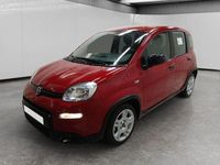 Usata Fiat Panda S 69 CV (50 kW) 2024 Rosso Berlina