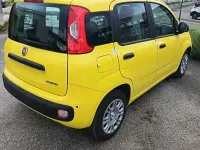 Nuova Fiat Panda Icon 65 CV (47 kW) 2026 Giallo Utilitaria