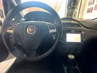 Usata Fiat Punto Evo Dynamic 105 CV (77 kW) 2011 Bianco Utilitaria