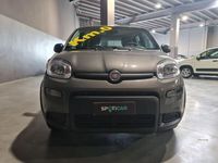 usata Fiat Panda 1.0 1.0 70cv Hybrid