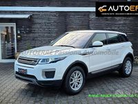 Usata Land Rover Range Rover evoque Pure 150 CV (110 kW) 2016 Bianco SUV