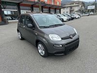 usata Fiat Panda 1.0 firefly Hybrid 70CV + SCHERMO BLUETOOTH