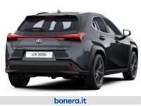 Nuova Lexus UX 300h 199 CV (146 kW) 2025 Pure white SUV