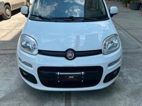 Usata Fiat Panda 69 CV (50 kW) 2016 Bianco Utilitaria