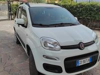 Usata Fiat Panda 4x4 S 86 CV (63 kW) 2020 Other Utilitaria