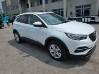 Usata Opel Grandland X 131 CV (96 kW) 2019 Bianco SUV