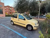 Usata Fiat Panda 60 CV (44 kW) 2007 Giallo Utilitaria