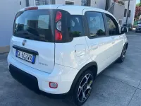 Usata Fiat Panda Sport 69 CV (50 kW) 2022 Bianco Utilitaria